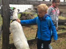 St.Moritz2018_Periode1_0131