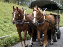 St.Moritz2018_Periode1_0201