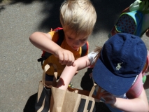 OLYMPUS DIGITAL CAMERA