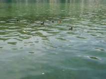 St.Moritz2019_Periode1_0023