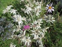 St.-Moritz_Charme050921-130921_038