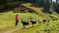 St.-Moritz_Charme050921-130921_223