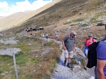 St.-Moritz_Discover_27082022-05092022_029