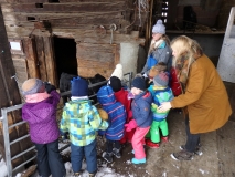 OLYMPUS DIGITAL CAMERA