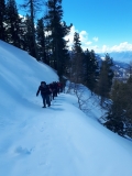 Zinal_Pasen2019_Week1_595